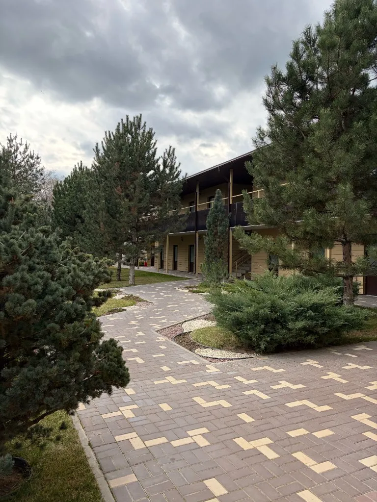 Природа и сосны